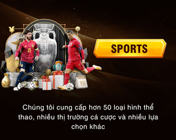 Hình ảnh minh họa cá cược bóng đá và các môn thể thao khác tại tv88